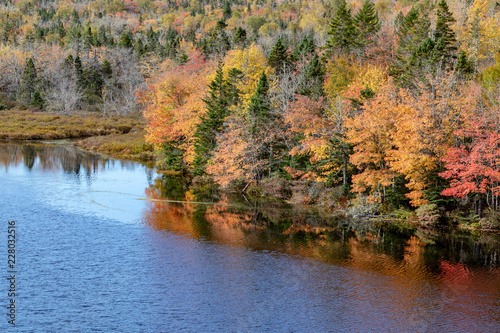 Fototapeta Naklejka Na Ścianę i Meble -  Autumn landscape in Nova Scotia Canada, blurred backgrounds, sharp foregrounds.