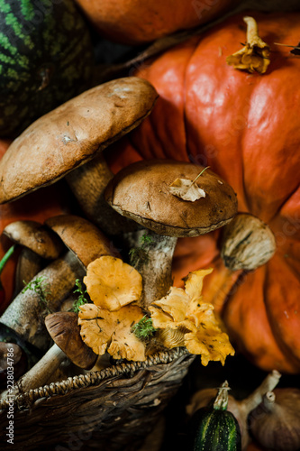 pumpkin mushroom and vegetables