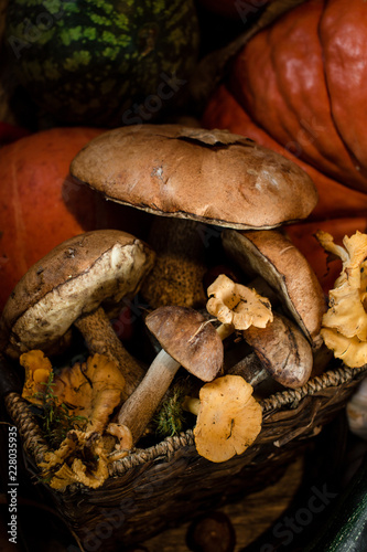 pumpkins and mushrooms