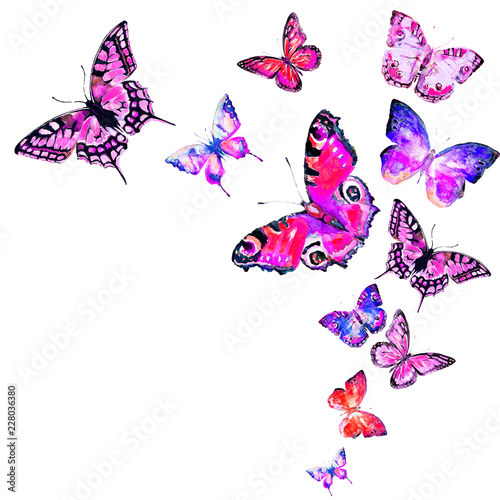 beautiful color butterflies, set, watercolor, isolated on a white