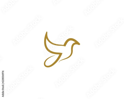 Dove symbol illustration