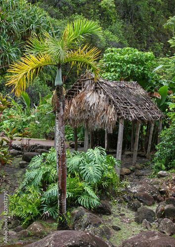 Grass ShackIn the rain forest on Maui, Hawaii.