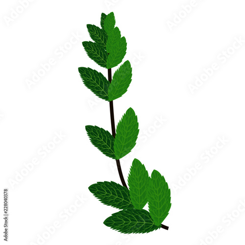 Menta