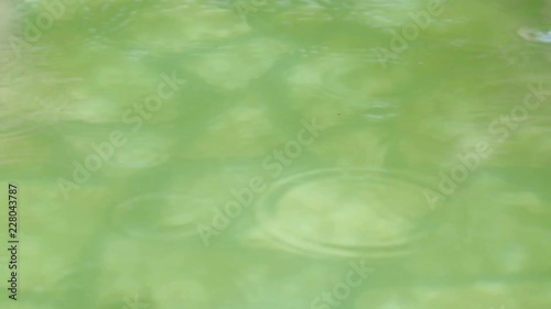 Rain drops falling into pond