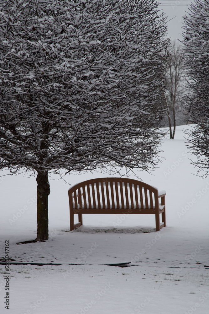 Snowy Park Bench