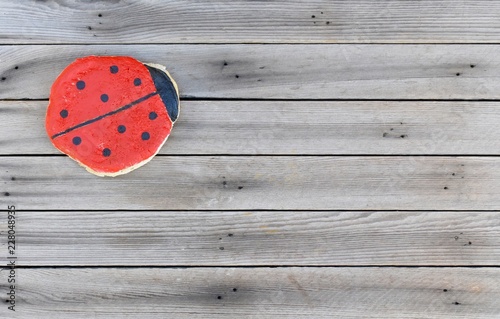 Leftover pancake painted to look like a ladybug photo