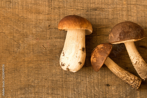 A boletus on an old oak table . Autumn. Mushroom picking