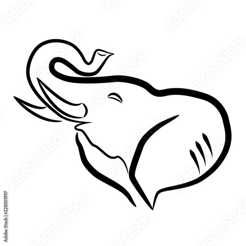 Elephant head on white background logo
