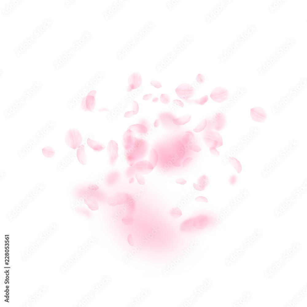 Sakura petals falling down. Romantic pink flowers explosion. Flying petals on white square backgroun