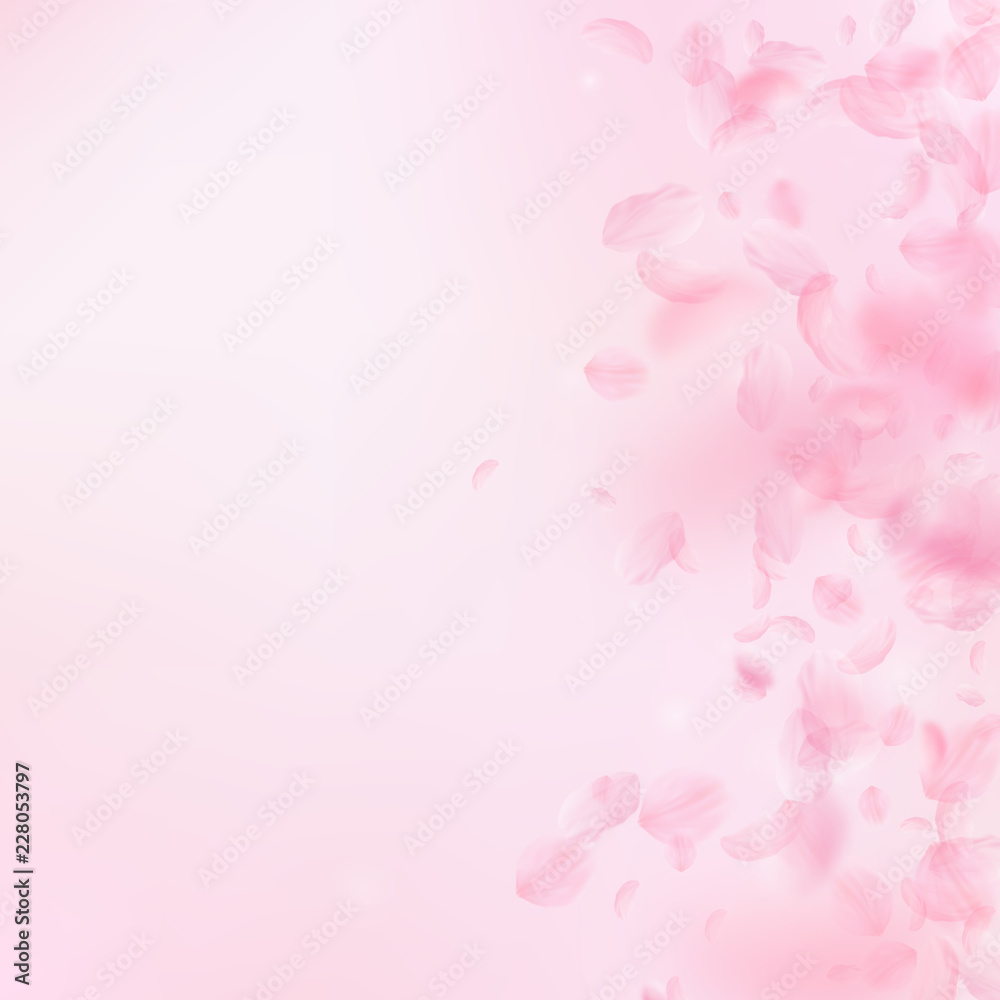 Sakura petals falling down. Romantic pink flowers gradient. Flying petals on pink square background.