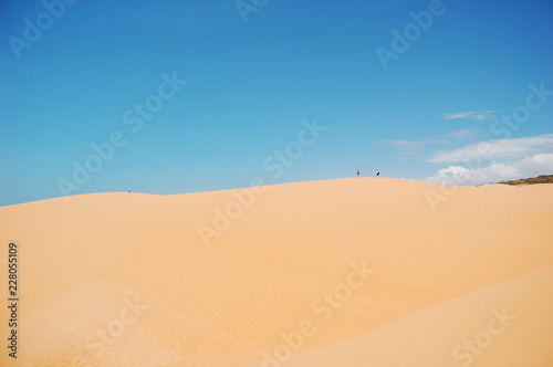 ベトナムにある砂丘