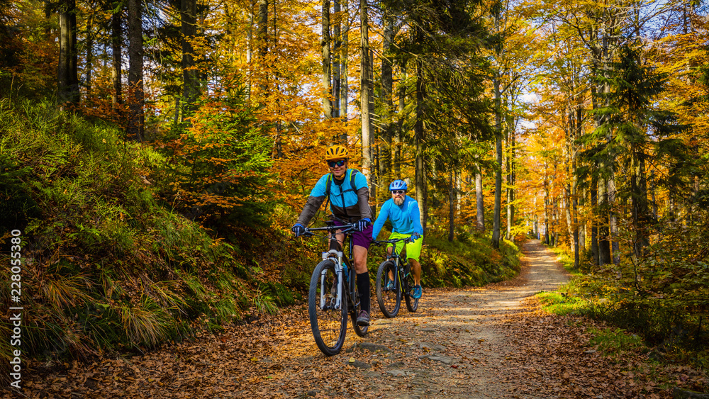 Naklejka premium Cycling, mountain biker couple on cycle trail in autumn forest. Mountain biking in autumn landscape forest. Man and woman cycling MTB flow uphill trail.