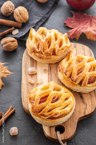 Homemade Apple pie or tart on autumn background. Autumn concept. Copy space.