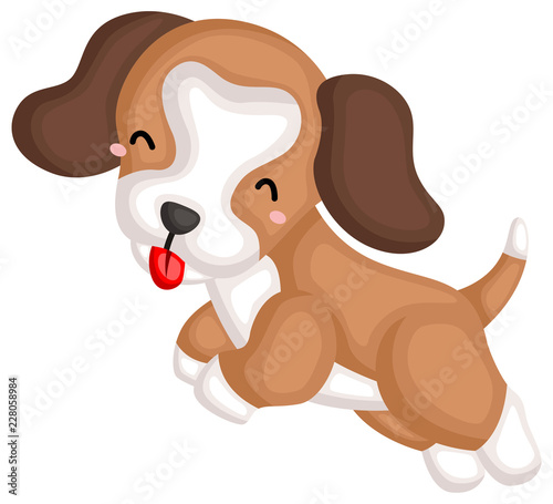 a happy cute pure beagle dog breed