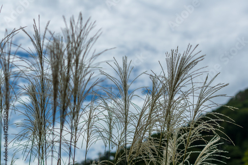 世界遺産　五箇山　相倉合掌集落 © ikko