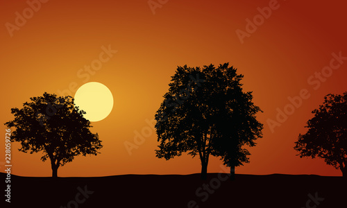 Realistic illustration with silhouettes of deciduous trees  rising or setting sun on morning or evening orange sky