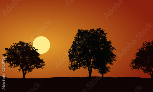 Realistic illustration with silhouettes of deciduous trees, rising or setting sun on morning or evening orange sky