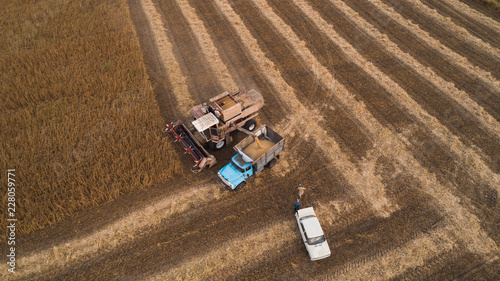 Harvester machine working in field . Old retro harvester unloads soybeans seeds in the truck for transport to a granary. Agriculture. Aerial view. From above.