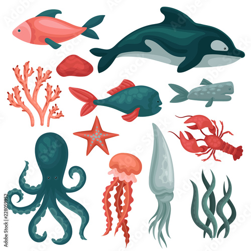 Flat vector set of sea animals and objects. Fishes, jellyfish, red crab, squid, octopus, seastar, seaweeds and stones