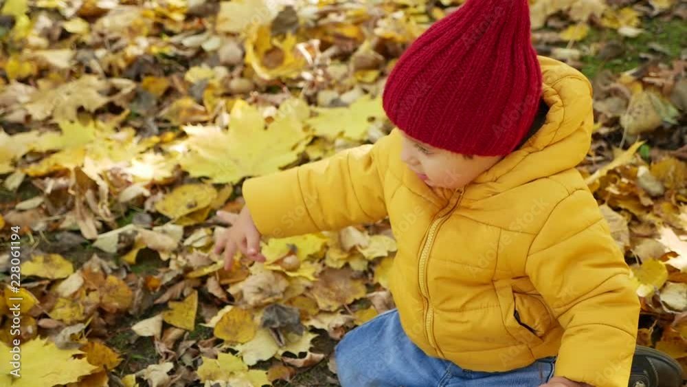 happy little boy playing in Park in autumn in orange leaves happy little boy playing in Park in autumn in orange leaves