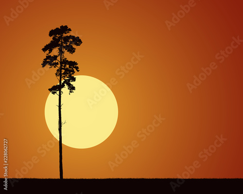 realistic illustrations with silhouetted conifer tree and the rising or setting sun at morning or evening orange sky