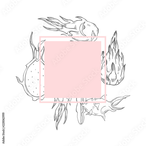 Vector frame with hand drawn pitahaya on a white background. Sketch  illustration.
