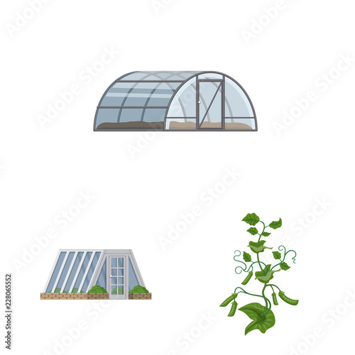 Vector design of greenhouse and plant sign. Collection of greenhouse and garden stock vector illustration.