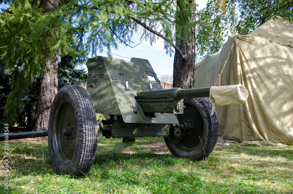 Fototapeta premium Soviet Union 45mm gun.
