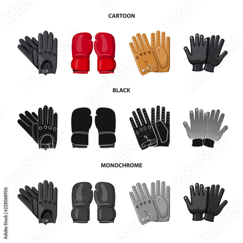Vector illustration of glove and winter symbol. Collection of glove and equipment vector icon for stock.