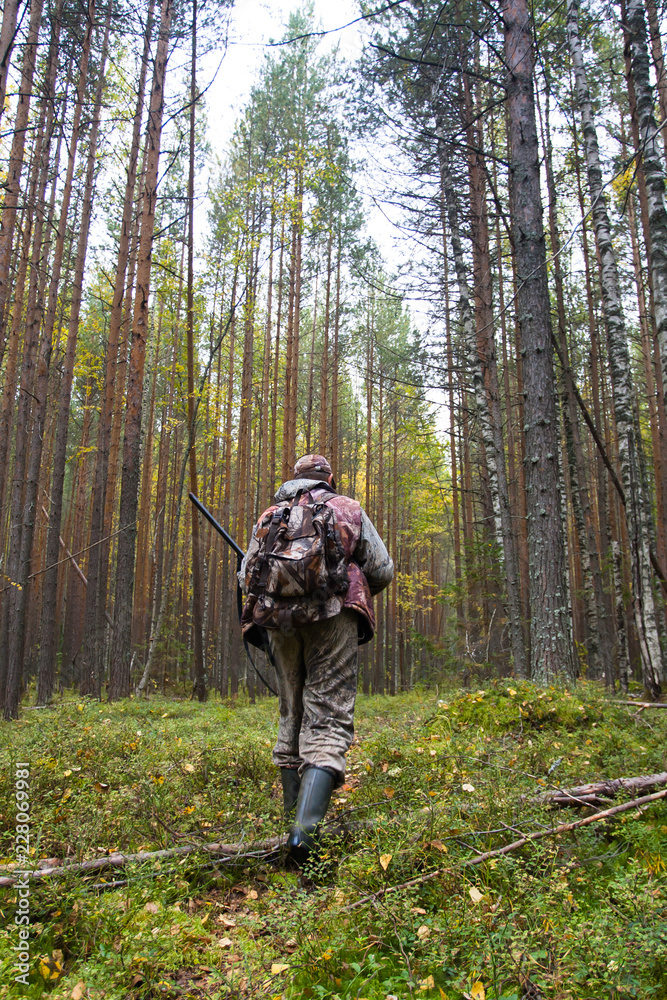 Fototapeta premium hunter with a gun in a pine forest