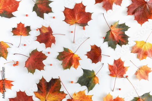 Autumn composition. Pattern made of colorful leaves on white background. Autumn  fall concept. Flat lay  top view  copy space 