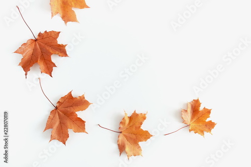 Autumn composition. Frame made of colorful leaves on white background. Autumn  fall concept. Flat lay  top view  copy space. 