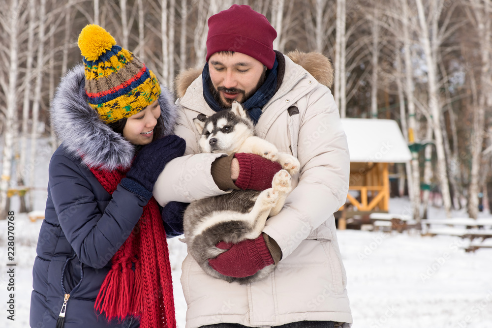 Waist up portrait of  modern Asian couple playing with cute Husky puppy outdoors in winter, copy space
