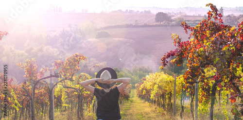 Girl in a hat at sunset. Nature Italy, hills and grape fields in the sunlight. Glare and sun rays in the frame. Free space for text. Copy space.