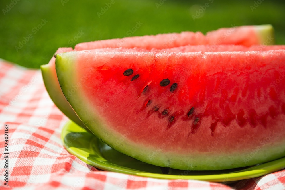 Watermelon Slices on Plate on Picnic Blanket Watermelon Slices on Plate on Picnic Blanket