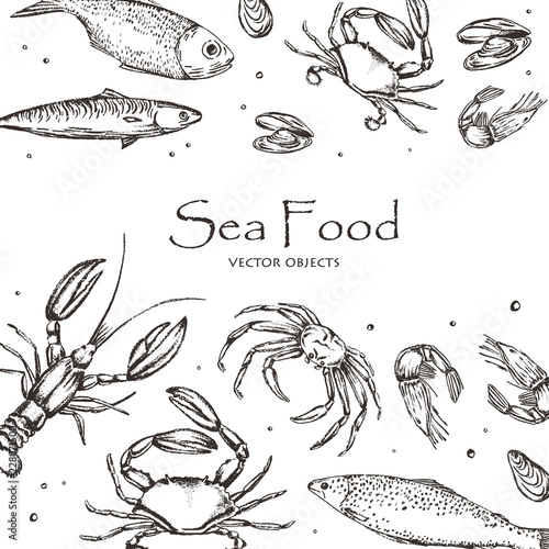 Vector illustration. Sea food : sea fish, crab, shrimps and mussels . Chalk style vector objects. Objects are under clipping mask.