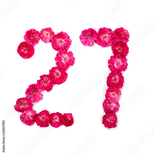 number 27 from flowers of a red and pink rose on a white background. Typographical element for design. Flower numbers, date, isolate, isolated