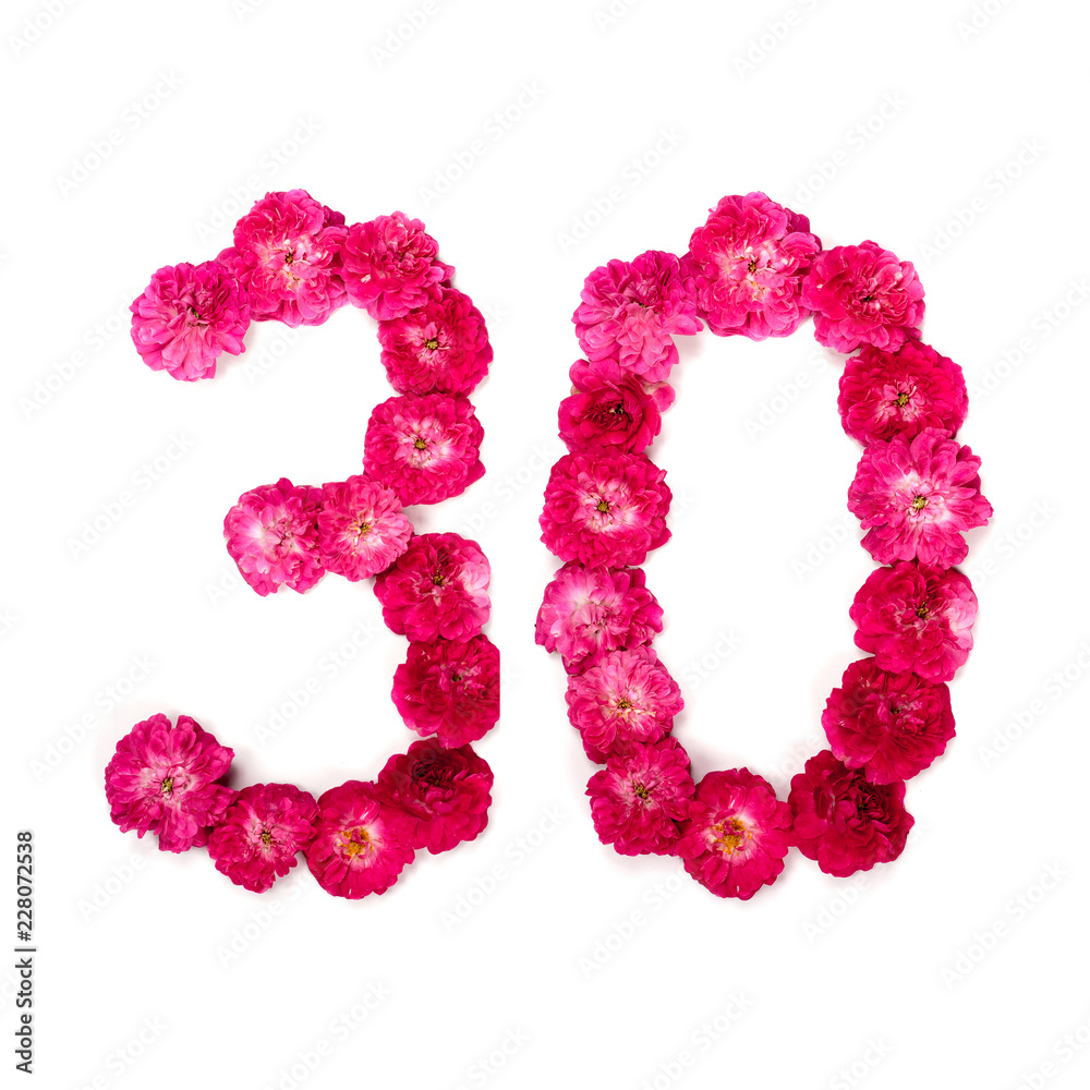 number 30 from flowers of a red and pink rose on a white background. Typographical element for design. Flower numbers, date, isolate, isolated number 30 from flowers of a red and pink rose on a white background. Typographical element for design. Flower numbers, date, isolate, isolated