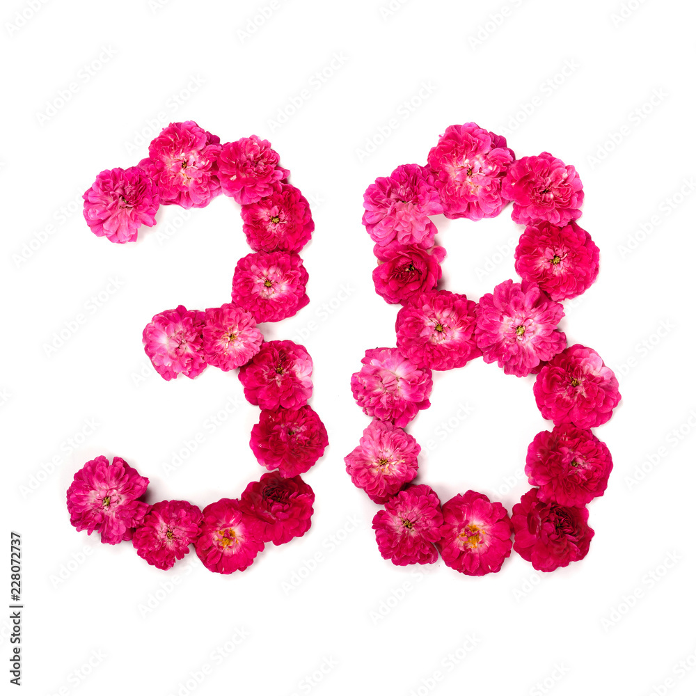 number 38 from flowers of a red and pink rose on a white background. Typographical element for design. Flower numbers, date, isolate, isolated