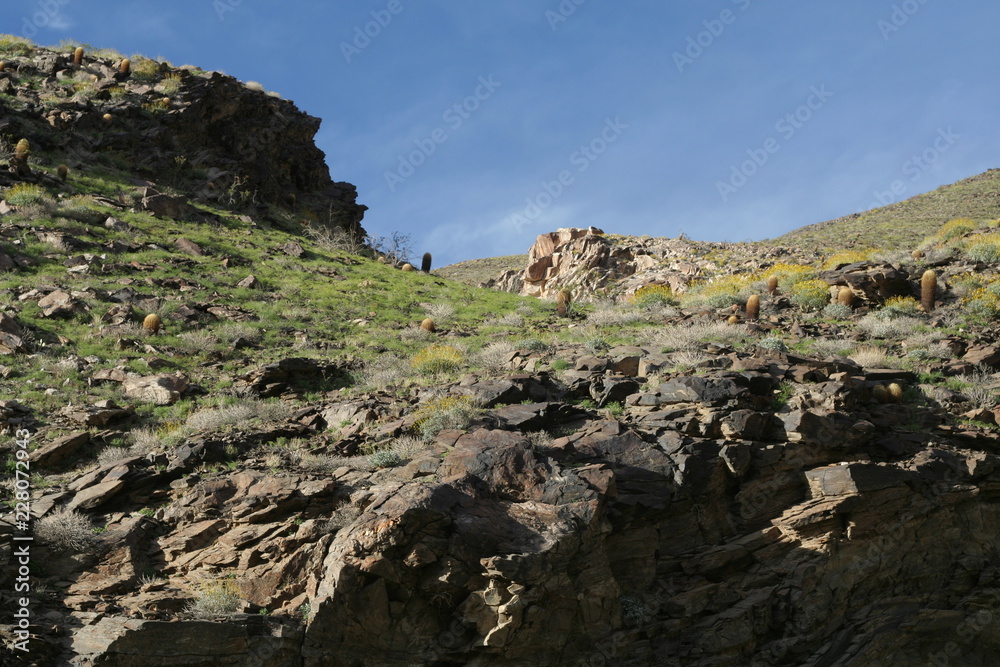 Surprise Canyon, Death Valley