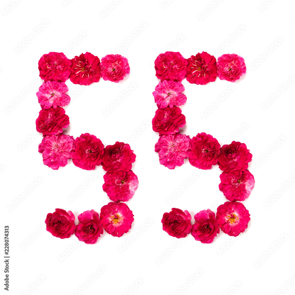 number 55 from flowers of a red and pink rose on a white background. Typographical element for design. Flower numbers, date, isolate, isolated number 55 from flowers of a red and pink rose on a white background. Typographical element for design. Flower numbers, date, isolate, isolated