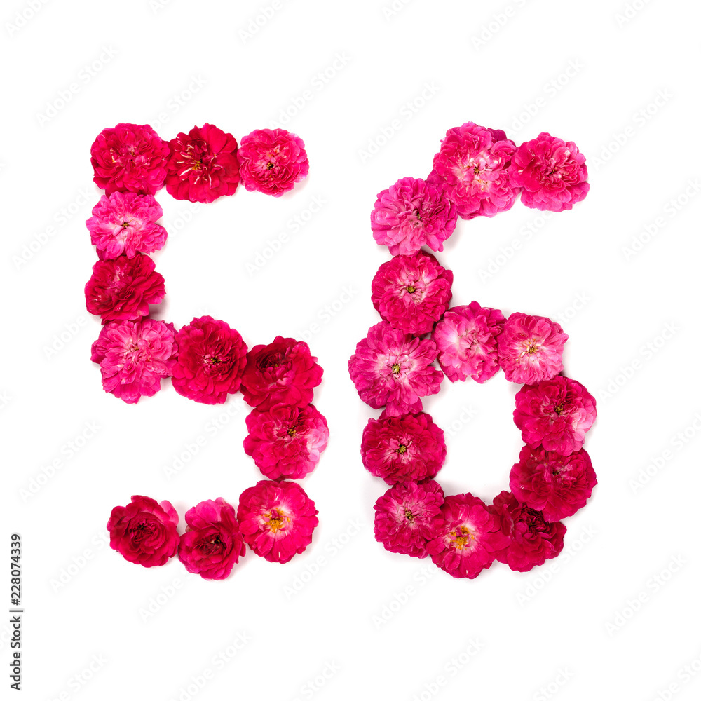number 56 from flowers of a red and pink rose on a white background. Typographical element for design. Flower numbers, date, isolate, isolated number 56 from flowers of a red and pink rose on a white background. Typographical element for design. Flower numbers, date, isolate, isolated