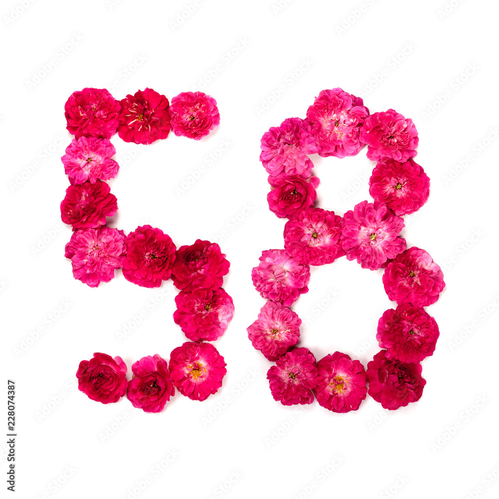 number 58 from flowers of a red and pink rose on a white background. Typographical element for design. Flower numbers, date, isolate, isolated number 58 from flowers of a red and pink rose on a white background. Typographical element for design. Flower numbers, date, isolate, isolated