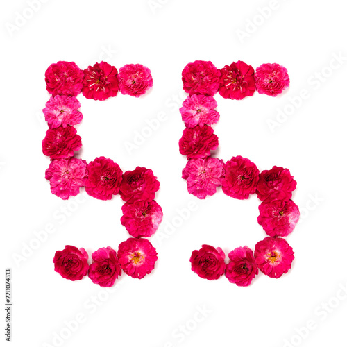 number 55 from flowers of a red and pink rose on a white background. Typographical element for design. Flower numbers, date, isolate, isolated