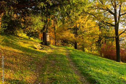 Autumn, Fall scene. Beautiful Autumnal park with pathway. Beauty nature scene.