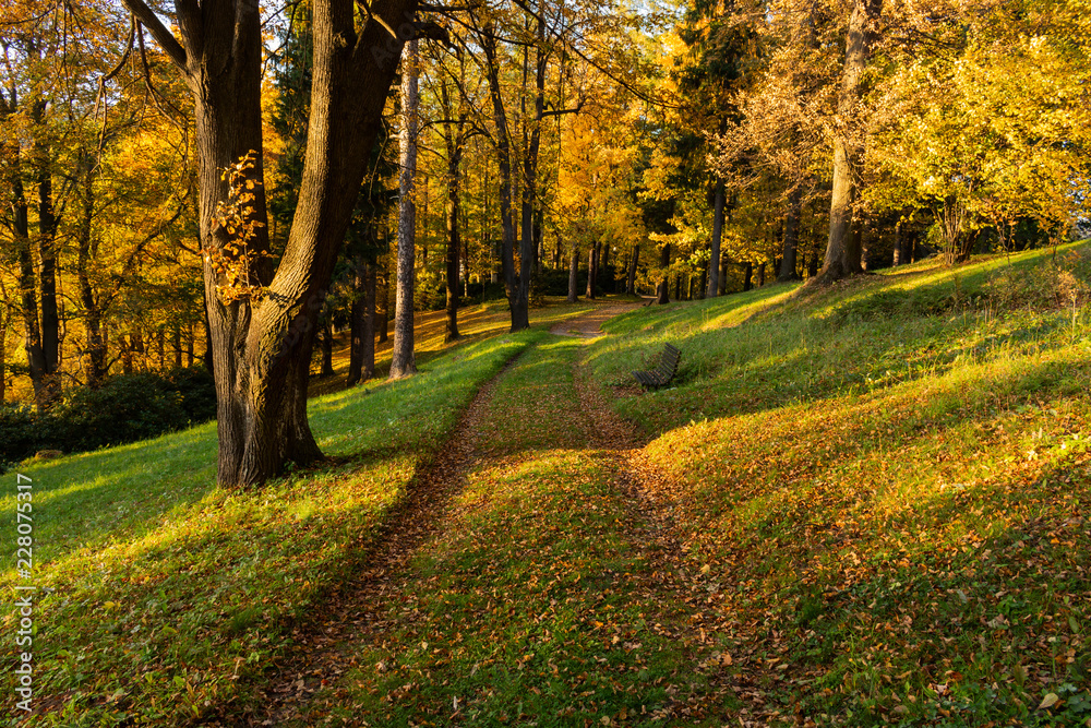 Autumn, Fall scene. Beautiful Autumnal park with pathway. Beauty nature scene.