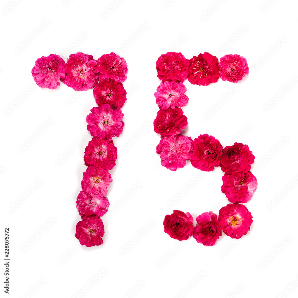 number 75 from flowers of a red and pink rose on a white background. Typographical element for design. Flower numbers, date, isolate, isolated number 75 from flowers of a red and pink rose on a white background. Typographical element for design. Flower numbers, date, isolate, isolated