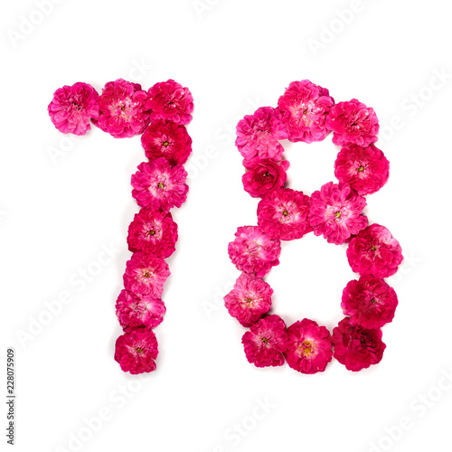 number 78 from flowers of a red and pink rose on a white background. Typographical element for design. Flower numbers, date, isolate, isolated