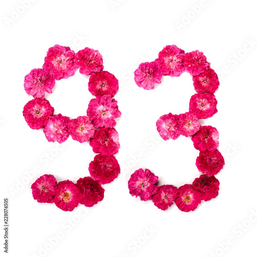 number 93 from flowers of a red and pink rose on a white background. Typographical element for design. Flower numbers, date, isolate, isolated