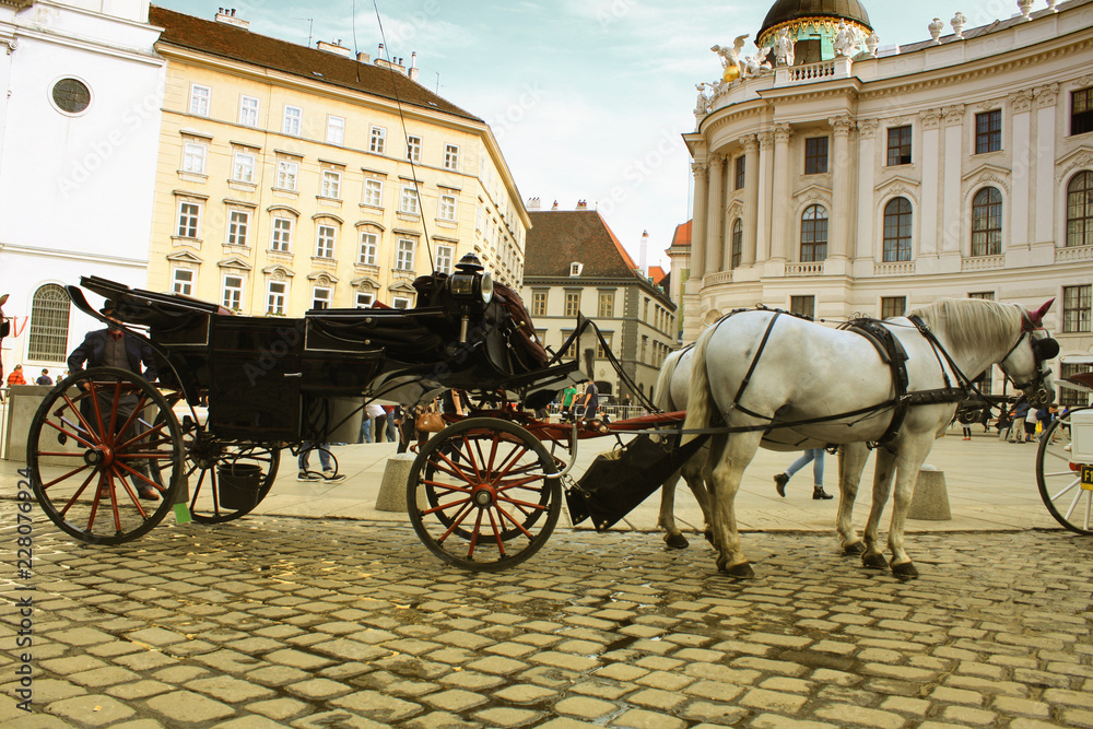 Fototapeta premium Vintage dorożką w pobliżu pałacu Hofburg w Wiedniu w Austrii.